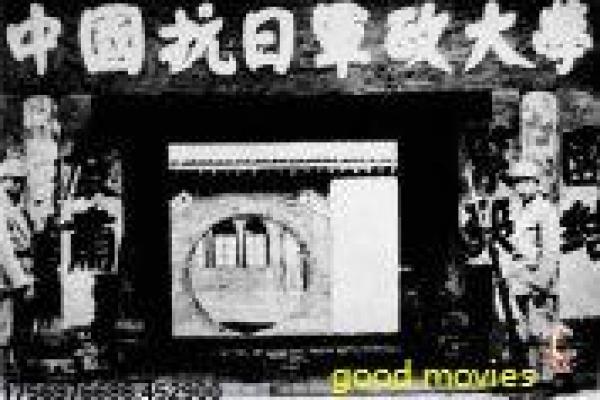 《奈何boss要娶我》免费西瓜版还原,boss娶我的甜宠喜剧与浪漫桥段