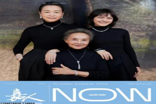 《伪装者》剧情分集深度解析,谍战伪装的兄弟情仇与悬疑拍摄幕后