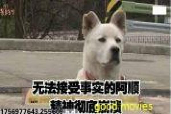 《蚁人》电影故事解析,小人物与宏大世界的奇妙碰撞