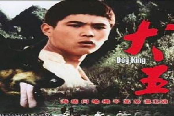 《妯娌的战争》剧情分集讲解,妯娌矛盾的家庭故事与温情拍摄幕后
