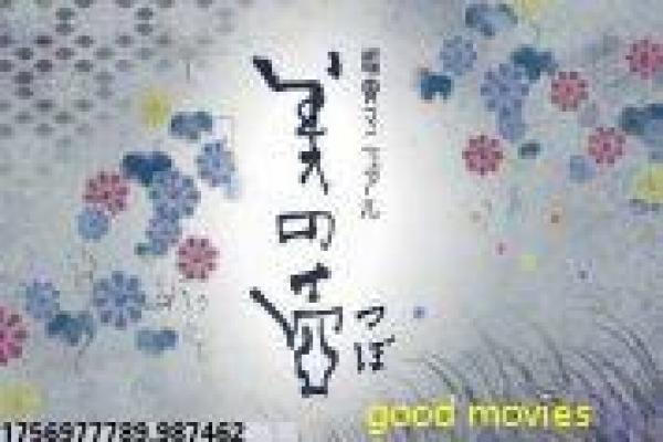 《终极一班2》剧情分集解析,校园热血的青春冒险与拍摄幕后趣闻