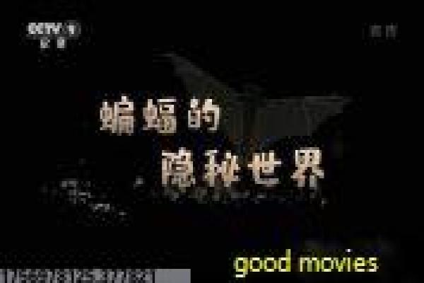 真实魔鬼游戏生存恐惧深度讲解