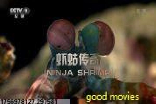 《釜山行》电影剧情梳理与灾难题材深度解读