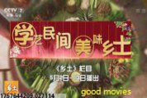 《光荣之路》篮球励志|团队精神与个人救赎