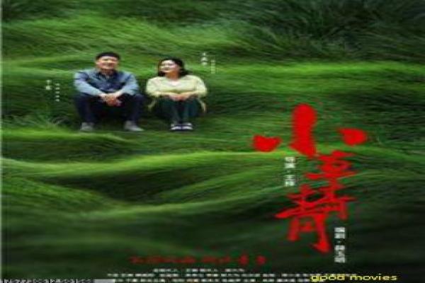 《悲伤逆流成河》青春痛点电影——剧情解析与拍摄幕后揭秘