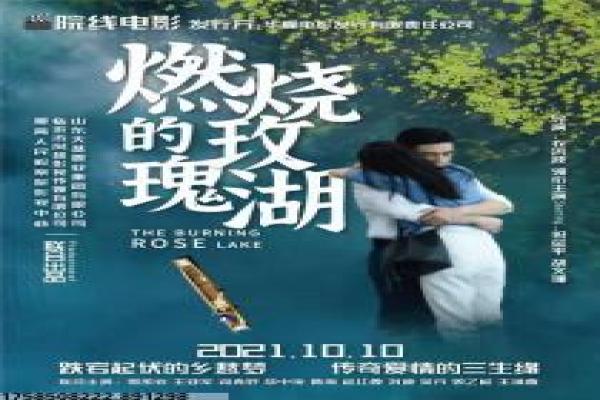 超级巴迪幕后拍摄揭秘|动物演员拍戏的趣味瞬间