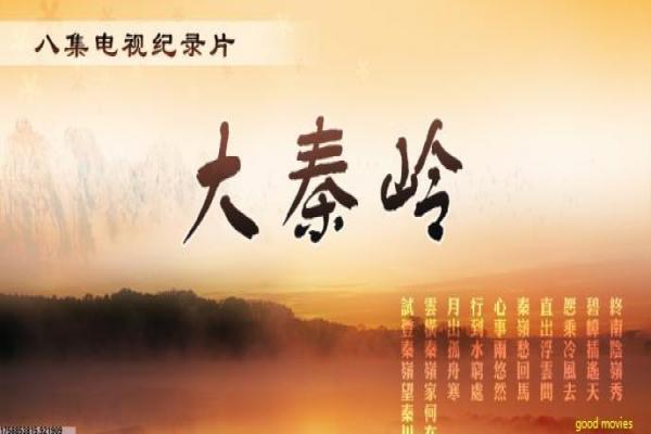 《女人的色彩》女人的色彩的职场奋斗,深度解析韩国剧的女性与爱情