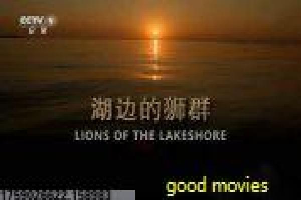 《风筝》影视解析深度 - 风筝谍战的隐秘英雄传奇