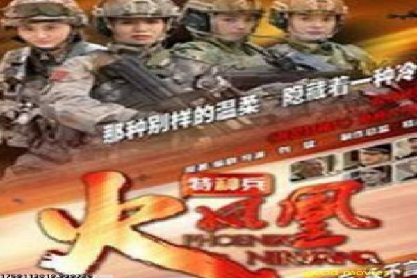 突袭2,暴徒-突袭2暴徒的血腥激战,剖析印尼动作片的格斗与犯罪