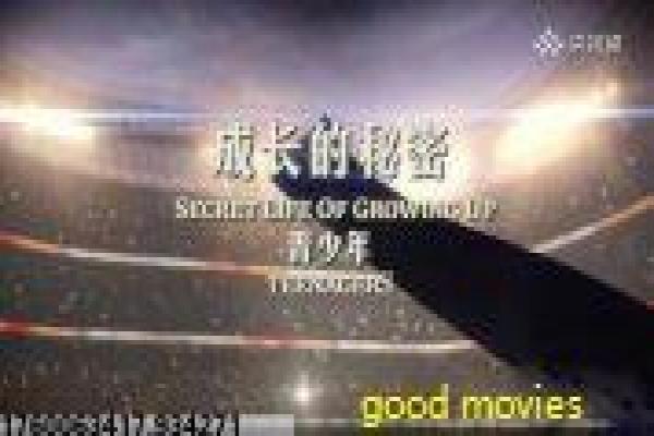 《代孕》生命与伦理的考验,讲透借腹生子的情感裂缝