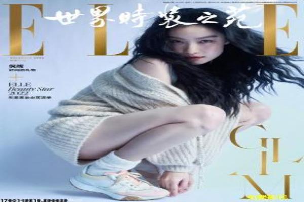 《秘密特工》影片简介-特工秘密的间谍传奇,探讨双重身份与忠诚考验的动作故事