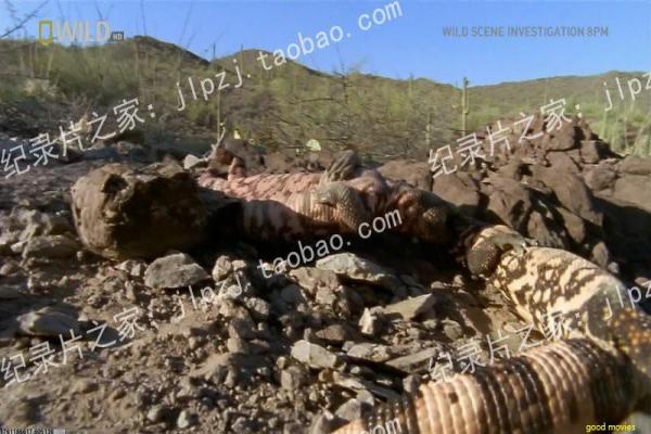 《无穷的潜力》潜力无穷影片详细解析及无限可能分析 《无穷的潜力》潜力无穷影片详细解析及无限可能分析