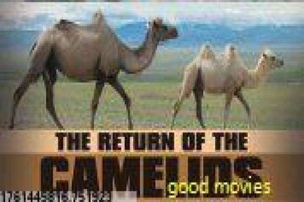 地狱男爵2黄金军团-地狱男爵对抗魔军影片讲解,黑暗英雄的热血故事情节深度还原与奇幻动作 地狱男爵2黄金军团-地狱男爵对抗魔军影片讲解,黑暗英雄的热血故事情节深度还原与奇幻动作