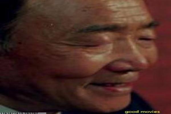 《书店与菜市场》影片简介深度,市场菜与书店的生活融合与温情