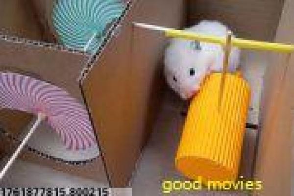 《帐篷外面是欧洲 第二季》故事情节深度还