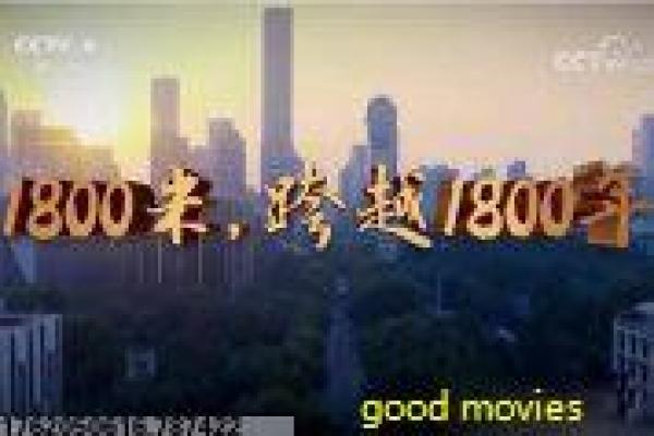 《寻找阿曼达》阿曼达寻找影片简介与寻人冒险深度讲解