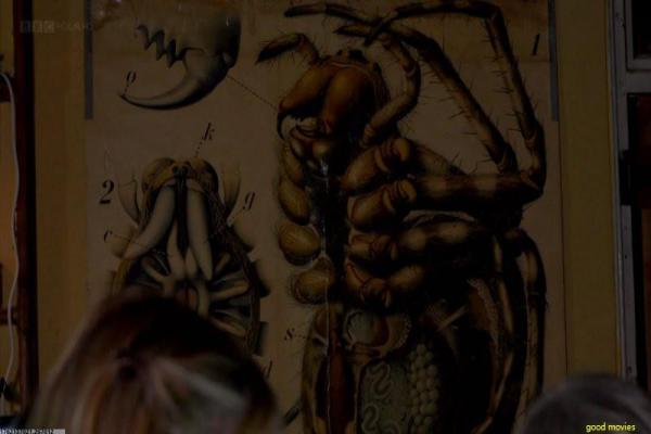 《查理曼大帝密码3》古帝密码的冒险续篇,