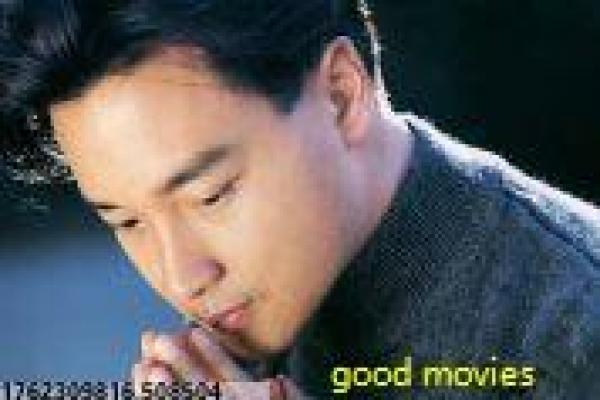 《黄金血道》影视解析详解,血道黄金的边境贩毒与正义