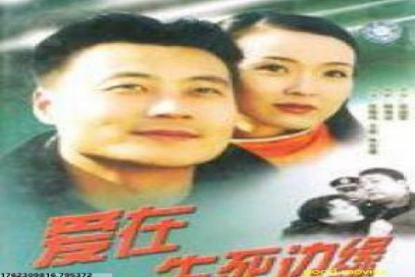 《东京攻略》间谍游戏里的真情意外,东京攻略全景解析都市爱情