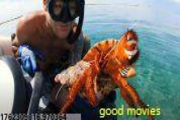 虎胆龙威1-虎胆龙威1的孤胆英雄,详细还原布鲁斯·威利斯的动作经典 虎胆龙威1-虎胆龙威1的孤胆英雄,详细还原布鲁斯·威利斯的动作经典