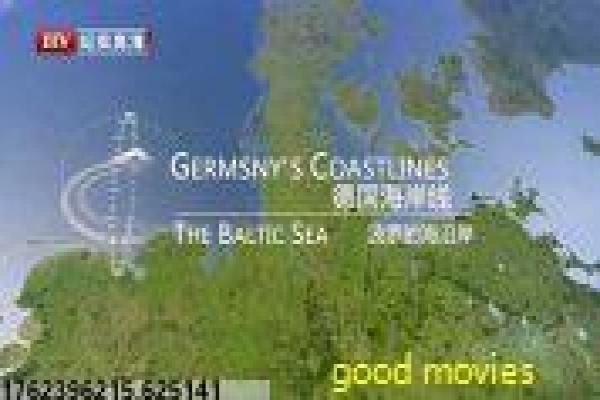 《辣手警花》辣手警花的卧底行动,深度解析桑德拉·布洛克主演的喜剧动作 《辣手警花》辣手警花的卧底行动,深度解析桑德拉·布洛克主演的喜剧动作