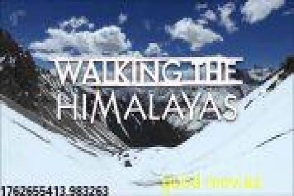 《黑夜降临》黑夜降临的末世危机,详细还原科幻恐怖的黑暗与生存冒险 《黑夜降临》黑夜降临的末世危机,详细还原科幻恐怖的黑暗与生存冒险